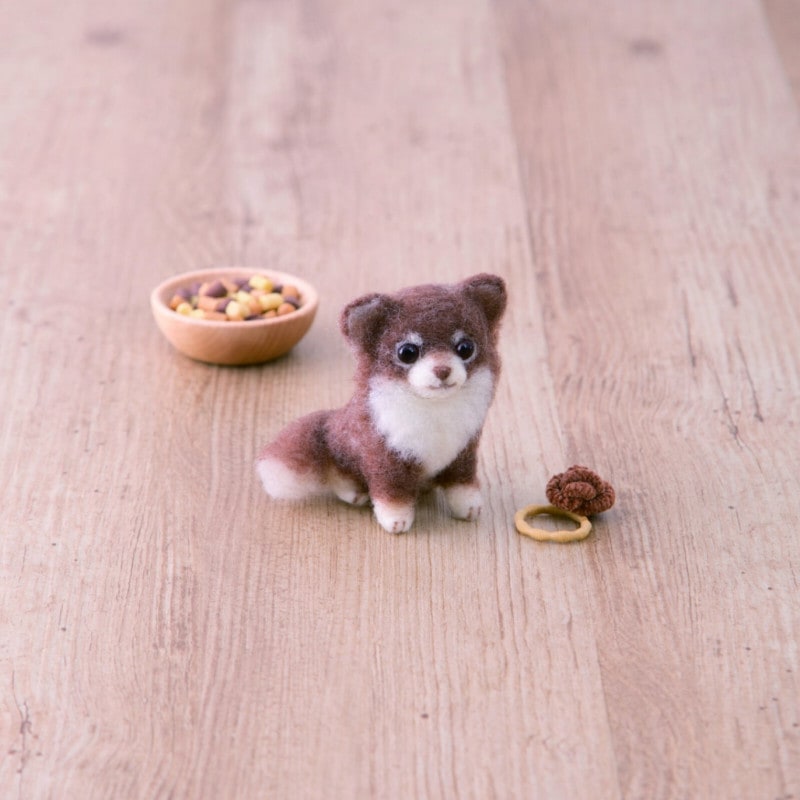 初心者でも作れる 羊毛フェルトキット ロングコートチワワ｜初級者向け