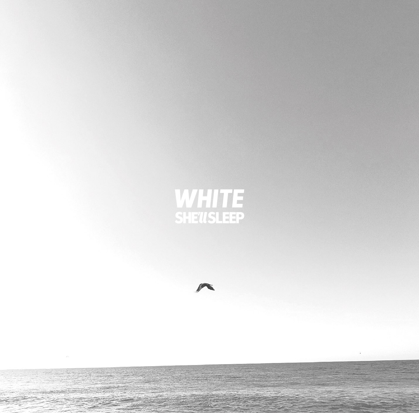 SHE'll SLEEP / WHITE | CD,日本,メロコア / スカパンク /レゲエロック