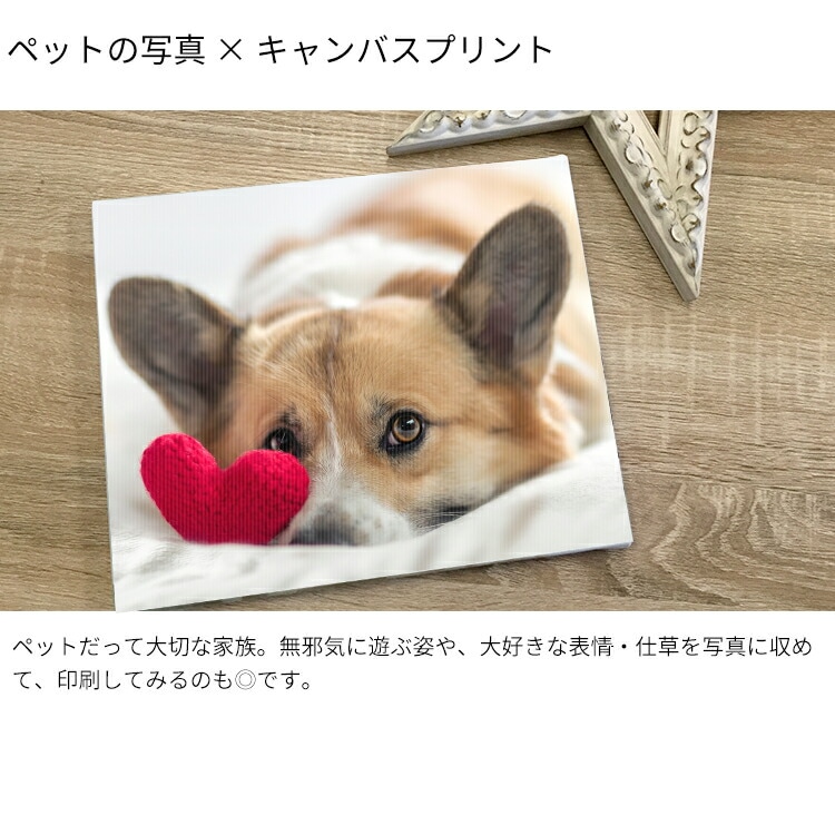 送料無料】キャンバスプリント 長方形・正方形タイプ（長方形サイズ