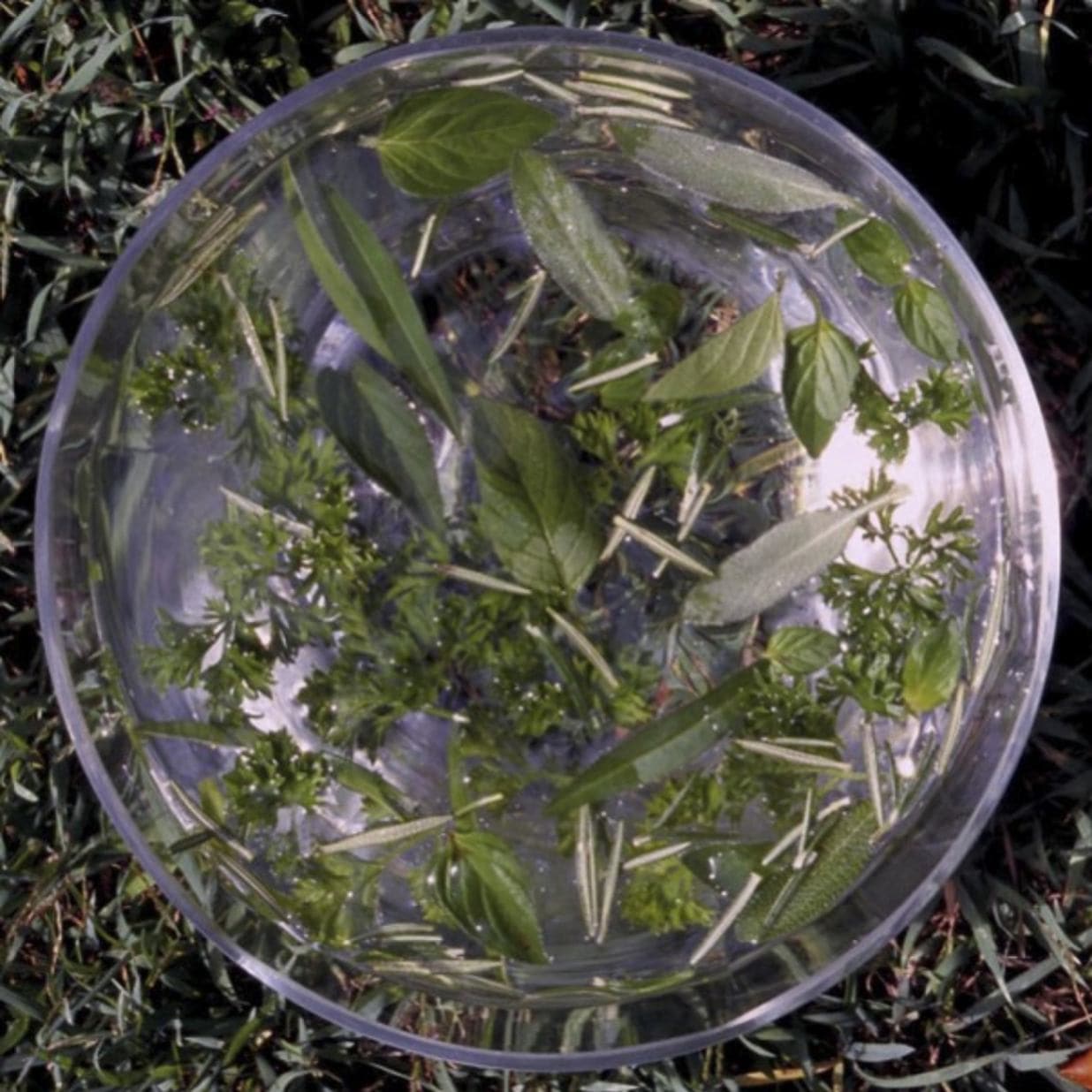 グリーンエッセンス[Green Essence] | ブランド一覧,オーストラリアン