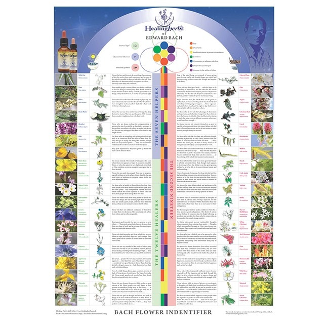 ヒーリングハーブス ポスター | ブランド一覧,ヒーリングハーブス