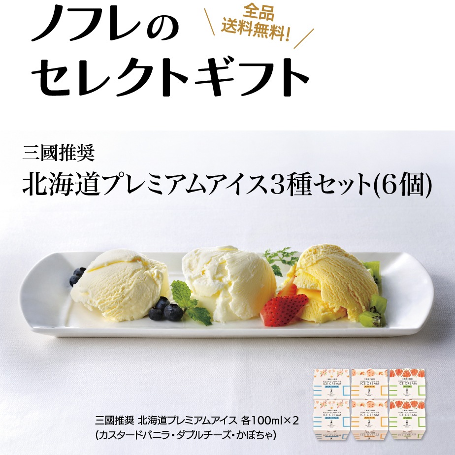 指定日配送不可】三國推奨 北海道プレミアムアイス3種セット(6個/10個)