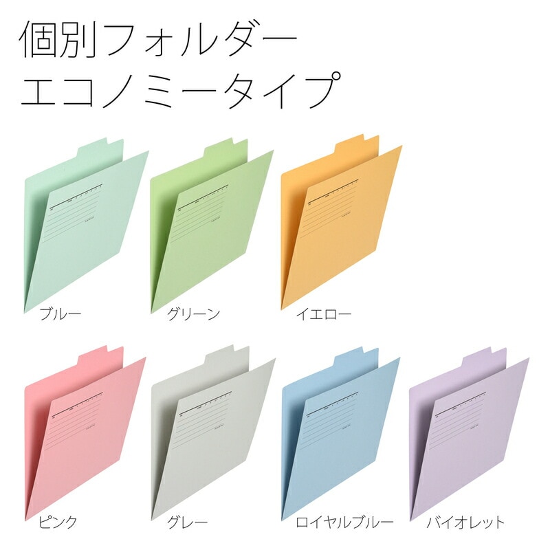 プラス(PLUS)個別フォルダー エコノミー A4-E 10枚入 バイオレット FL