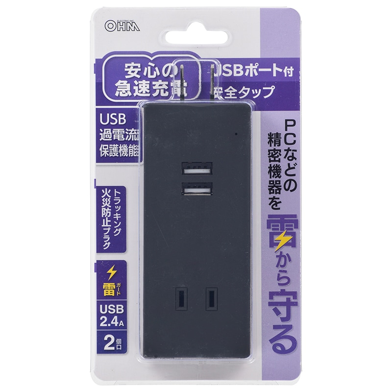 USBポート付電源タップ 雷ガード 2個口/2USB 黒｜HS-TU2SM-K 00-4398