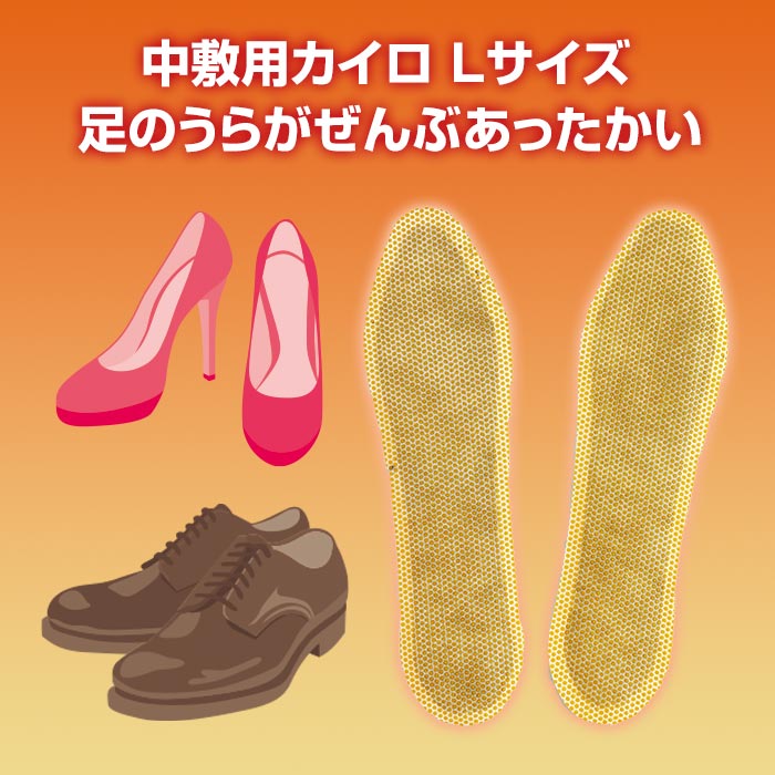 Lサイズ】アイリス 国産カイロ 中敷き用カイロ(L) 3足入 720個(360足分
