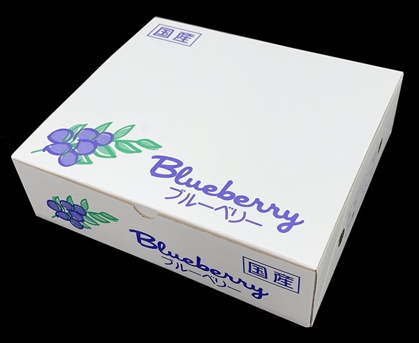 ブルーベリー化粧箱125gPx8個 ブルーベリー資材の通販｜オーシャン貿易