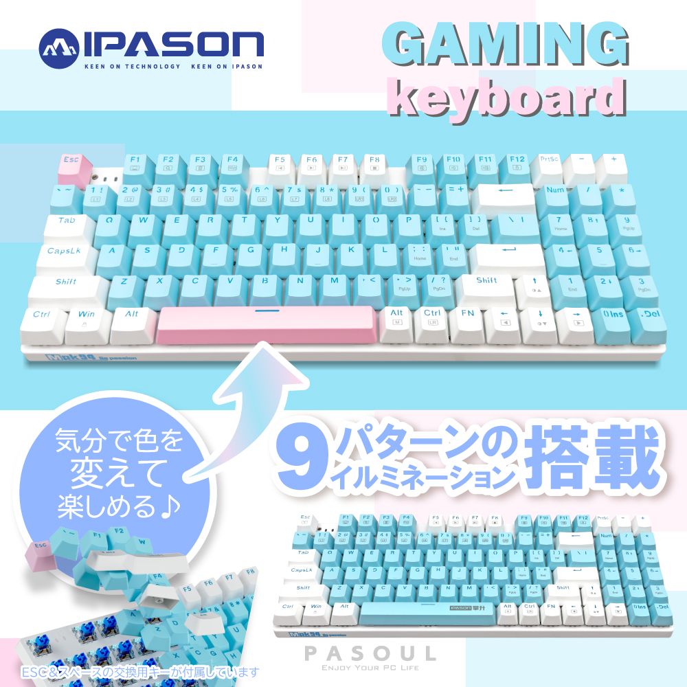 ゲーミングキーボード＆マウス セット PASOUL テンキー付き ブラック