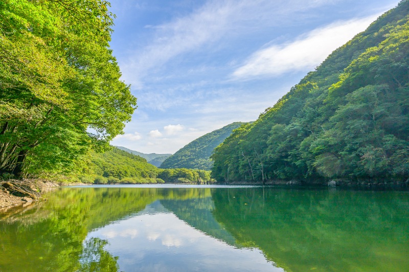 仙人秘水」公式通販｜美味しさで選ばれる仙人秘水1100ml（12本入）×5箱