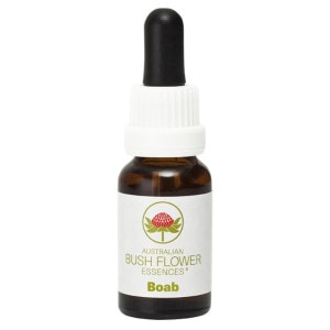 オーストラリアンブッシュ｜フラワーレメディ【公式】