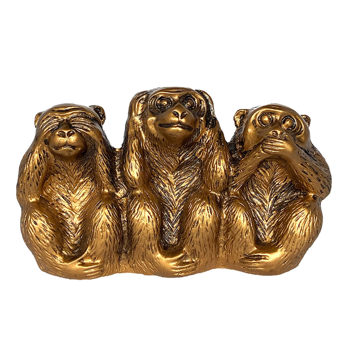 10_000000000015.jpg?1686407186