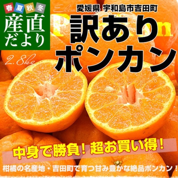 愛媛県 宇和島市吉田町 訳ありポンカン 3Lから2Lサイズ 約2.8キロ (11