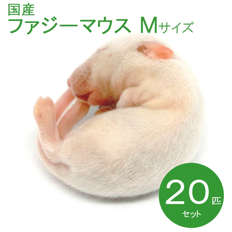 冷凍マウス ファジー M 20匹 国産 SAfarm | 冷凍マウス,ファジー