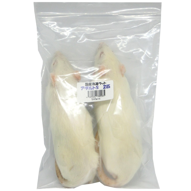 冷凍ラット アダルトS 2匹 RAS 国産 SAafrm | 冷凍ラット,アダルト
