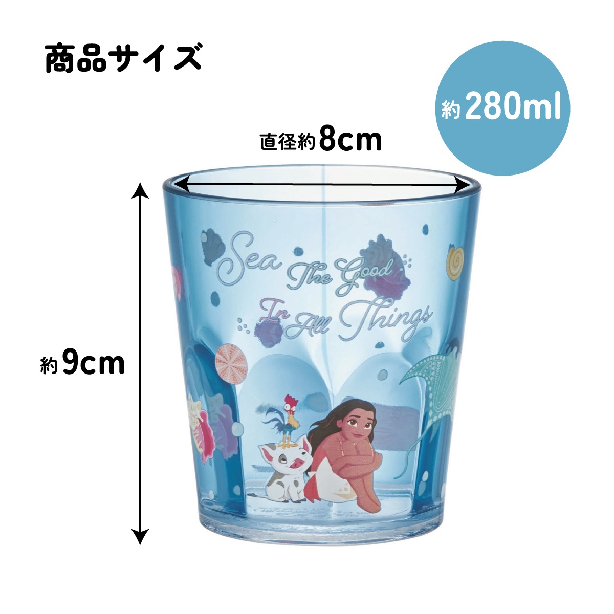 1_000000013817.jpg?1762825423