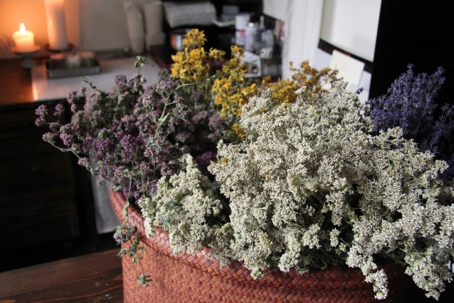 ハーブのソイキャンドル | 草灯 【 北海道 スロウなお買い物 ～slowly