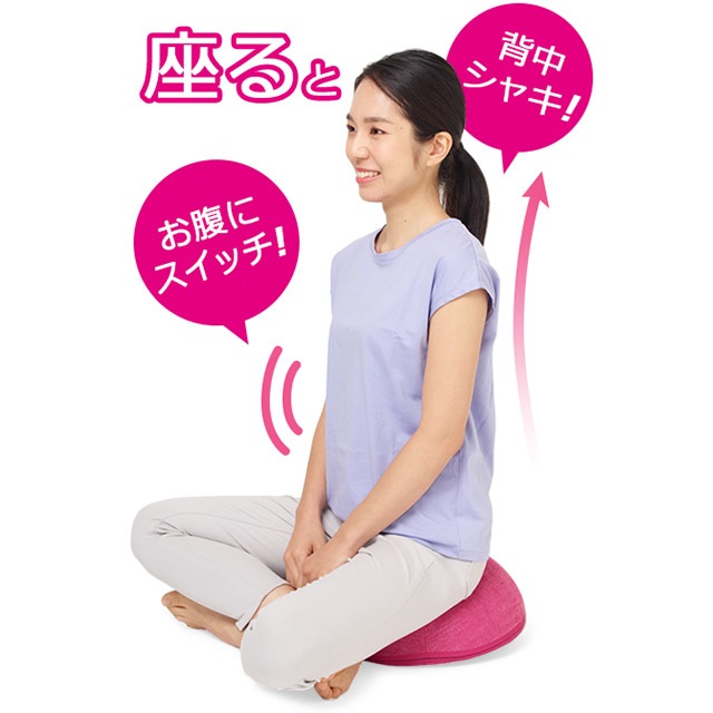 ながらクッションDome NCD-100 バランスボール