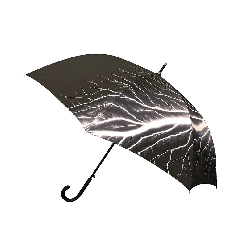 杉本博司 | 傘 放電場 Lightning Fields| 森美術館オンラインショップ