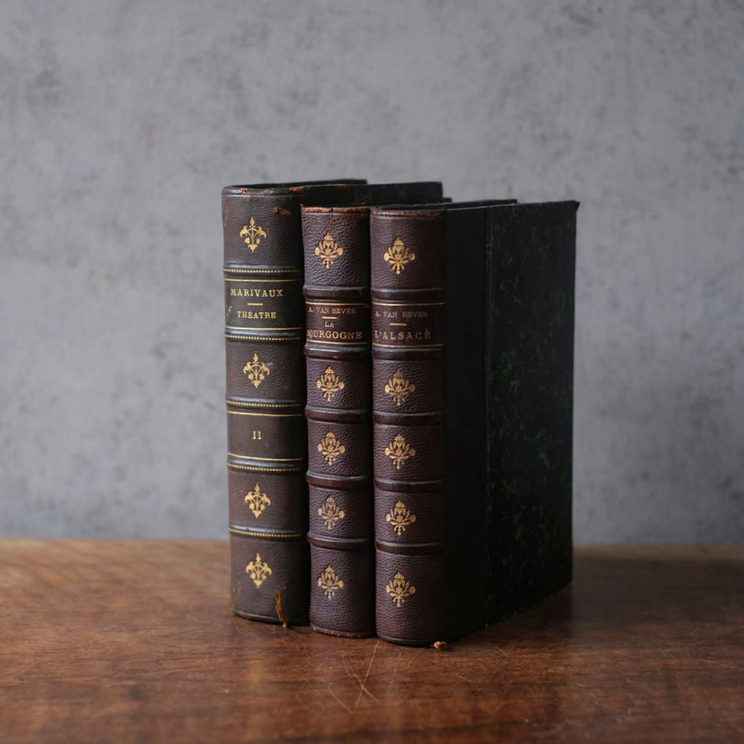 イギリスとフランスのアンティーク本の通販アンティークショップMALTO