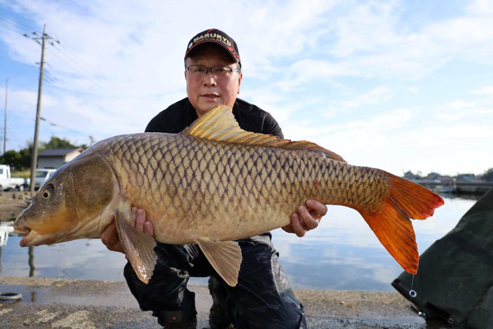 2025年09月24日（水曜日）｜コイ｜茨城県 – 涸沼｜｜フィールド