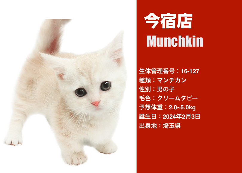 85d438240a37314167ea5e7158cfa4