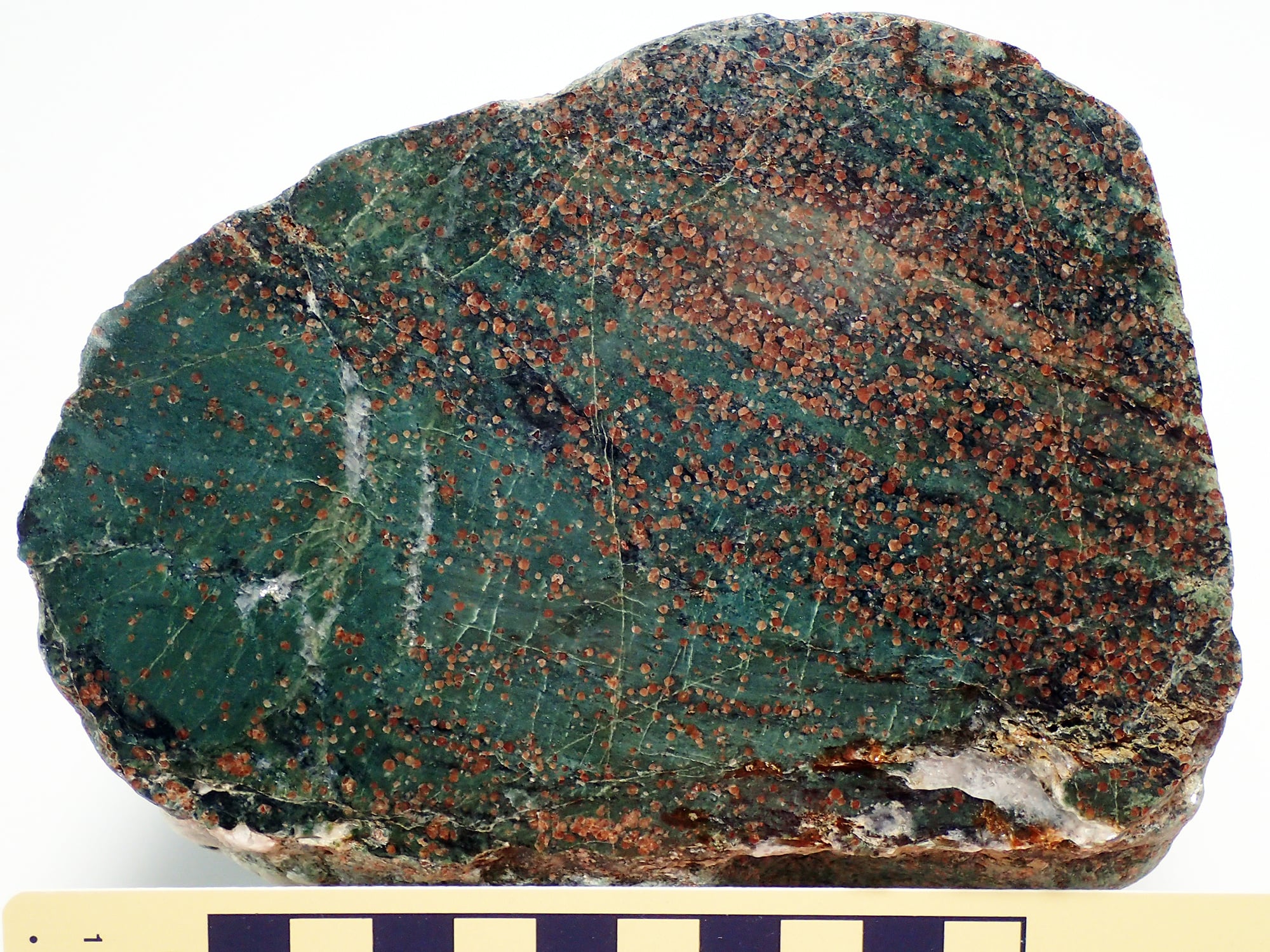 2025年度｜益富地学会館｜石ふしぎ博物館｜岩石／鉱物／化石