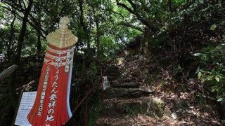 ここが秀吉の馬印・千成びょうたん発祥の地！それは信長との秘密の合図