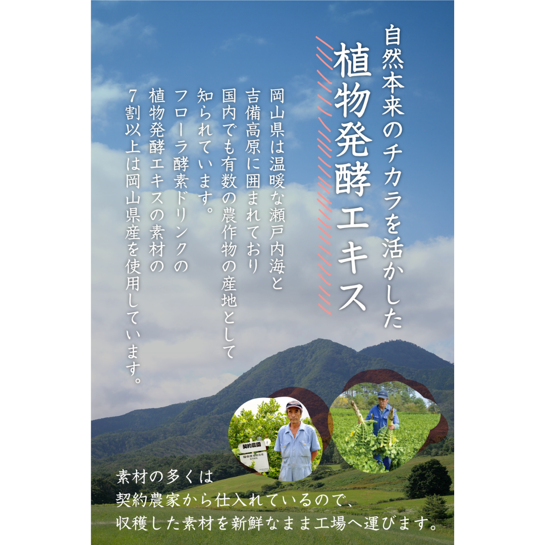 フローラ酵素ドリンク｜腸内環境と健康サポート