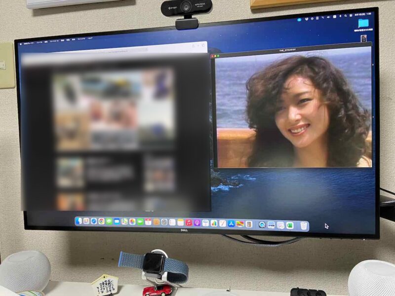 ザ・商社」NHK DVD を一気鑑賞 夏目雅子さんは美しい | 永遠を探して