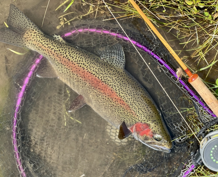 村田バンブー-北海道伊達市BIGFIGHT松本オリジナルの竹製フライロッド