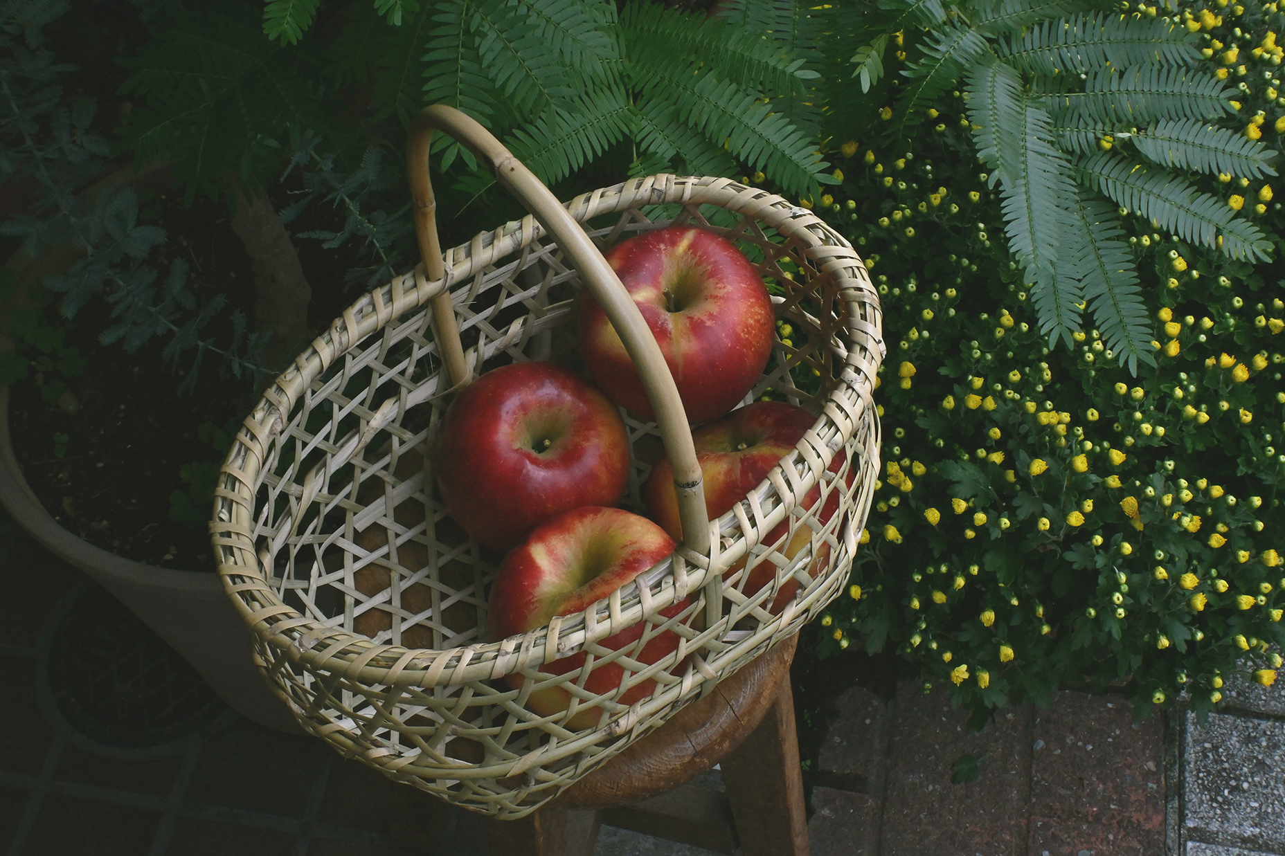 根曲竹りんごかご小 - 投稿 │ 松野屋