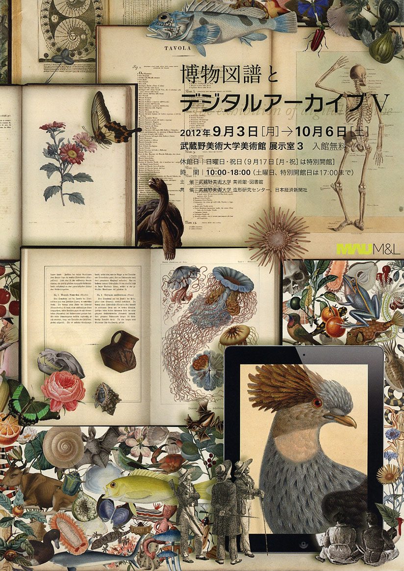 博物図譜とデジタルアーカイブ V | 美術館