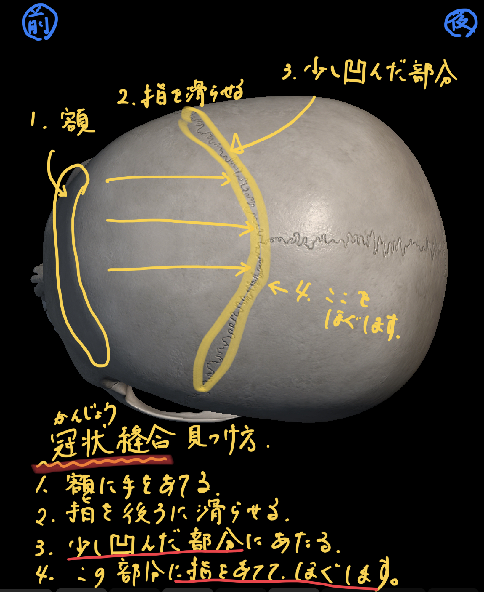 乱れた自律神経を整える「頭蓋骨マッサージ」｜安部元隆