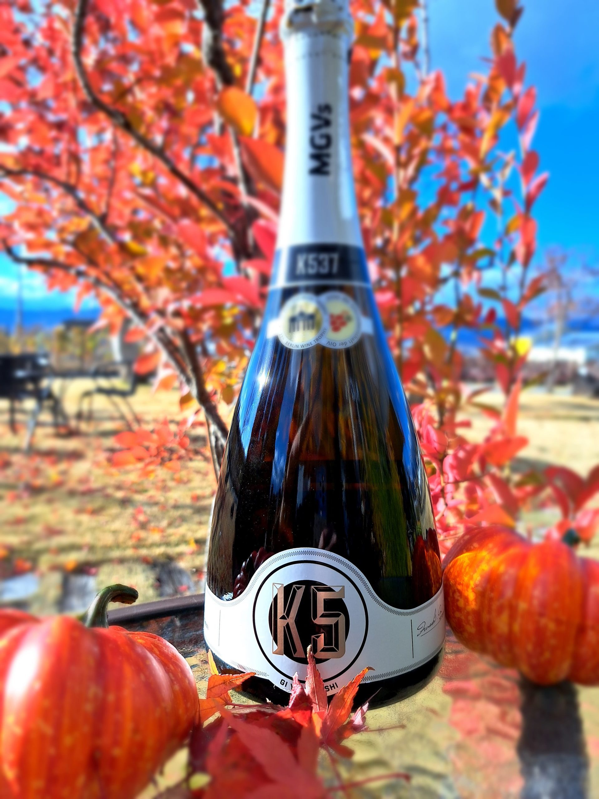 紅葉とワイン | MGVs（マグヴィス）ワイナリー
