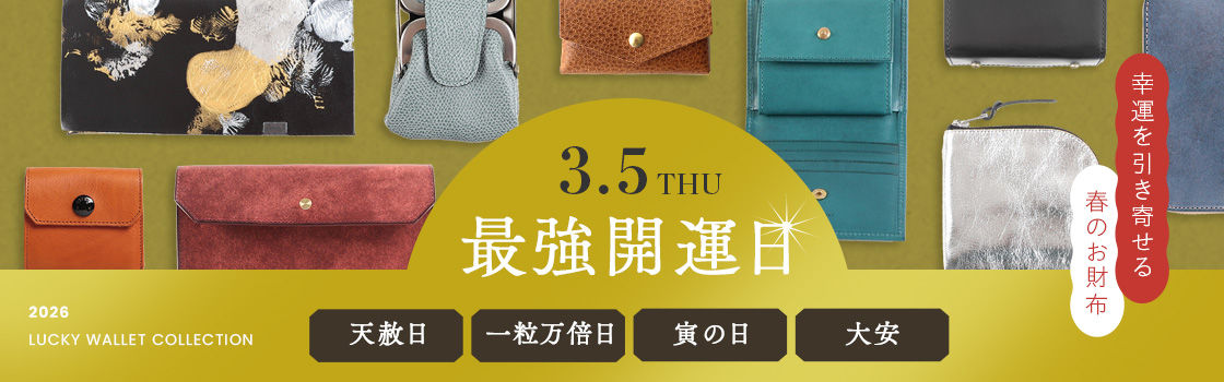 アエナ SNUGGLE 2nd スナグルセカンド 縦型ショルダーバッグ HMAEN