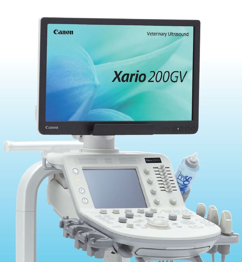 動物用超音波診断装置 エコー Xario200GV キャノン医療用品 | 動物医療