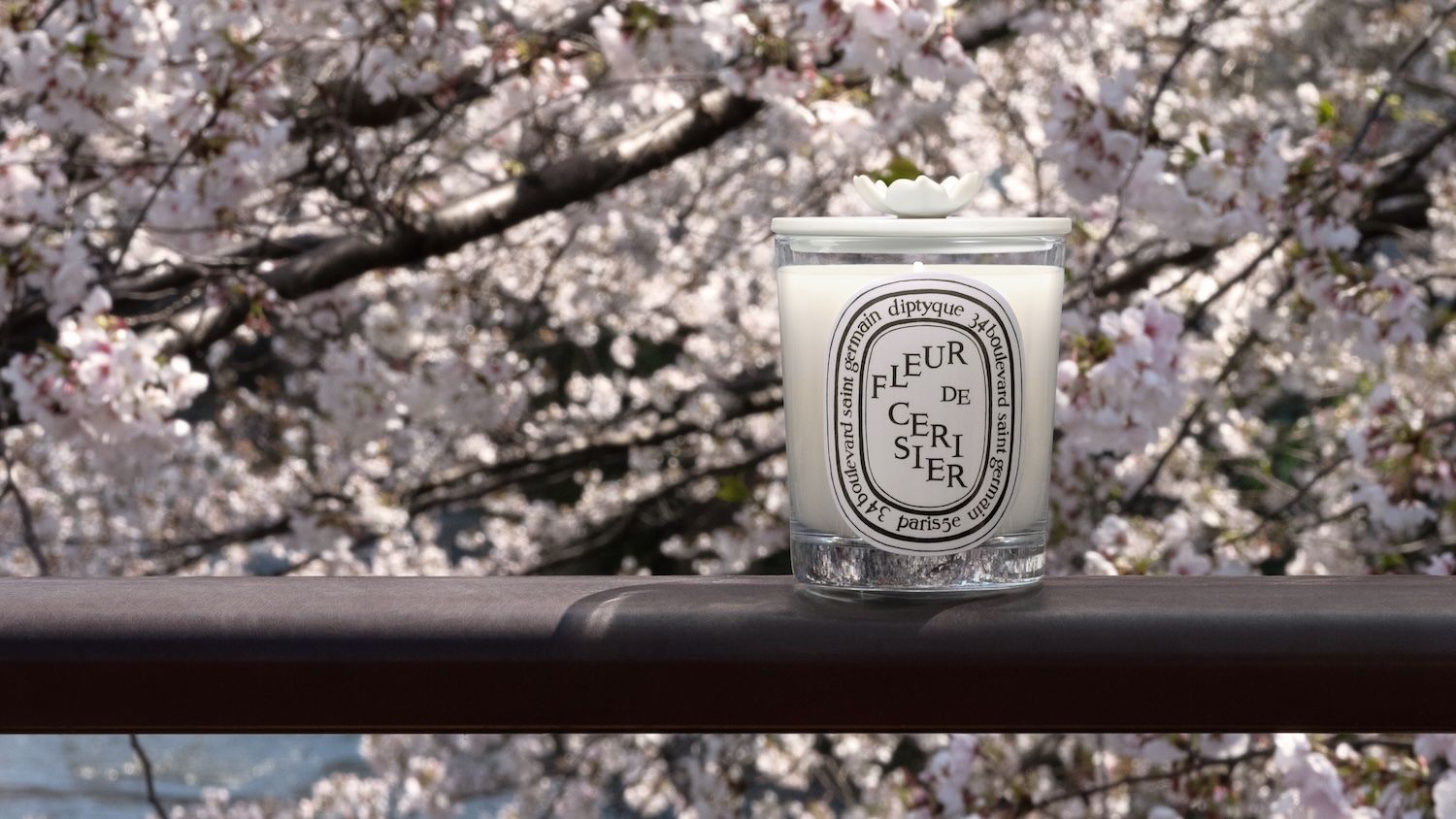 ディプティックの満開の桜の木を表現したキャンドルが期間限定で再登場