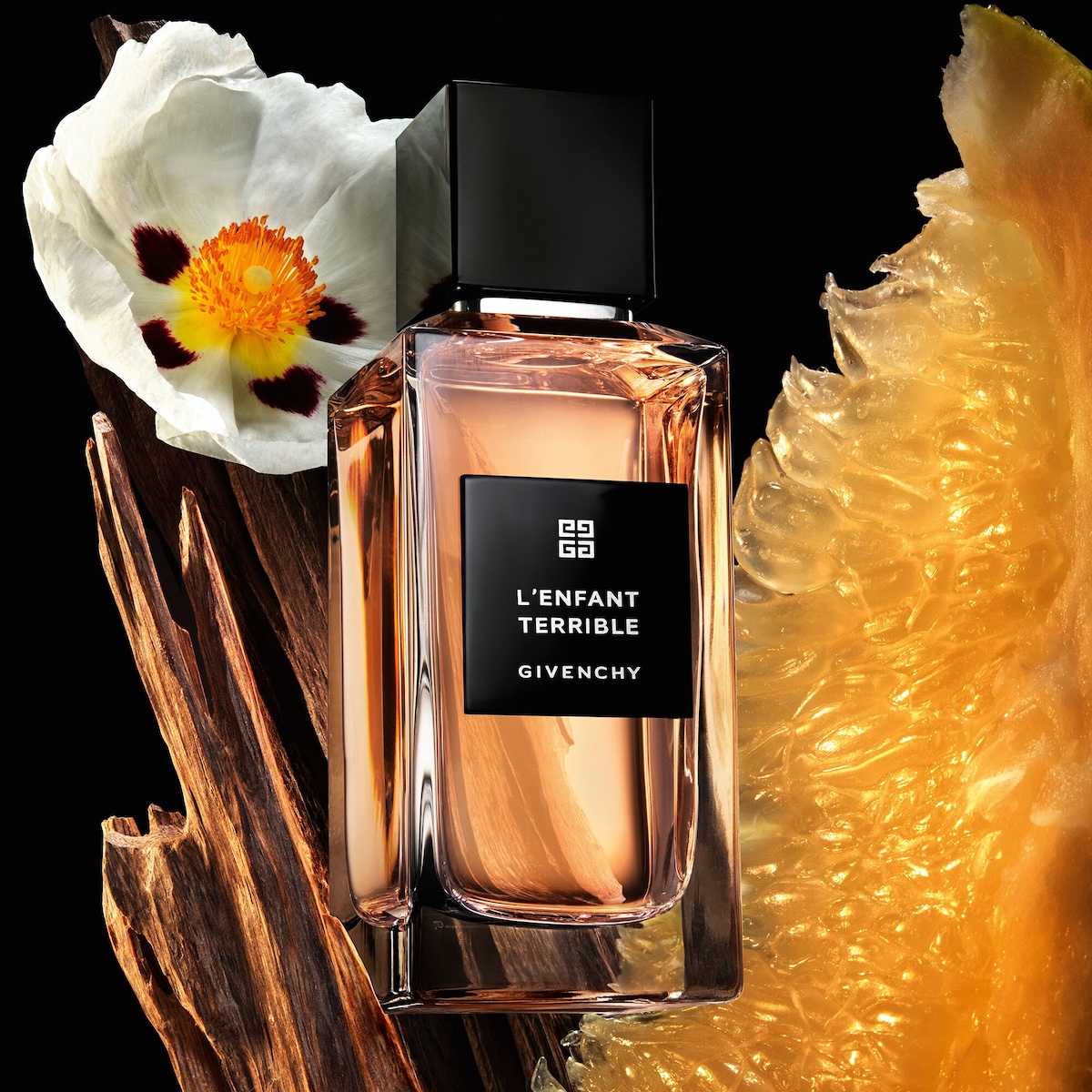 パルファム ジバンシイ」に新シリーズ まとう人の個性を引き出す