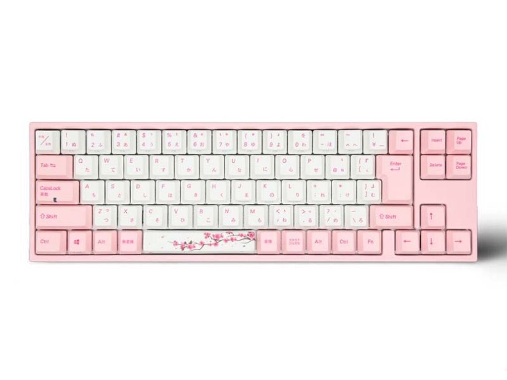 50282708.jpg?width=290