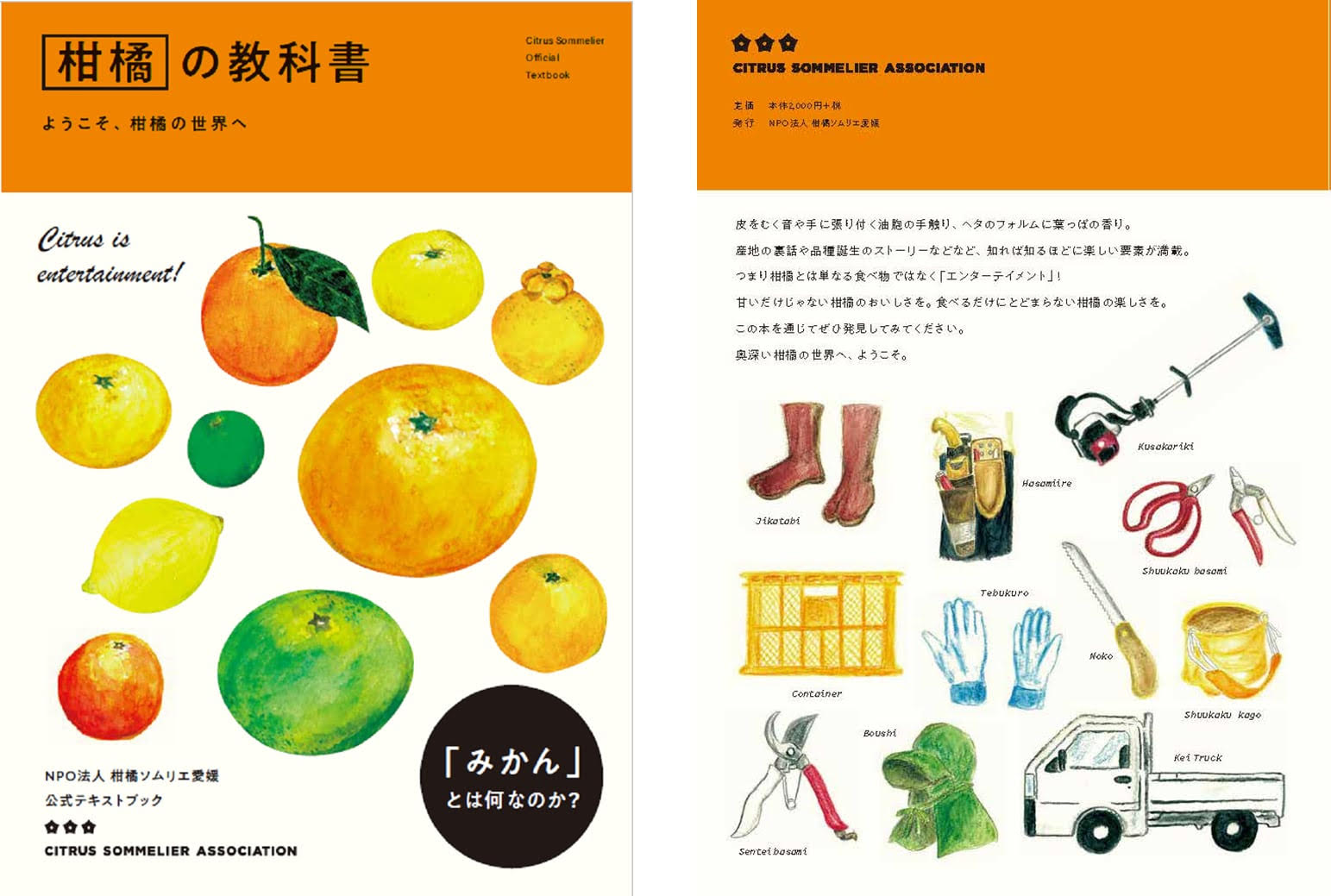 d SCHOOL わかりやすい柑橘 | D&DEPARTMENT