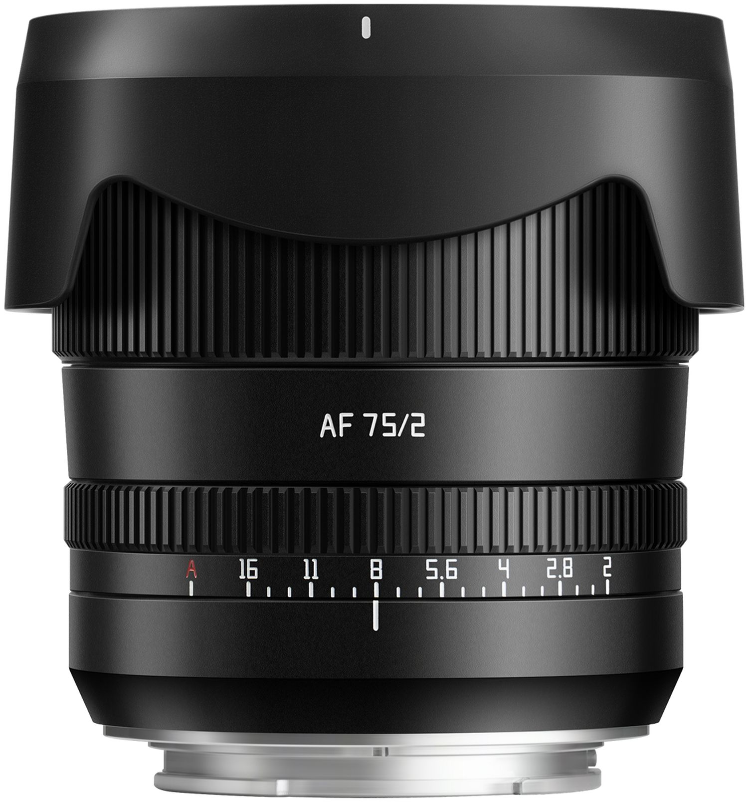 TTArtisan AF 75mm f2 Nikon Z - Foto Erhardt