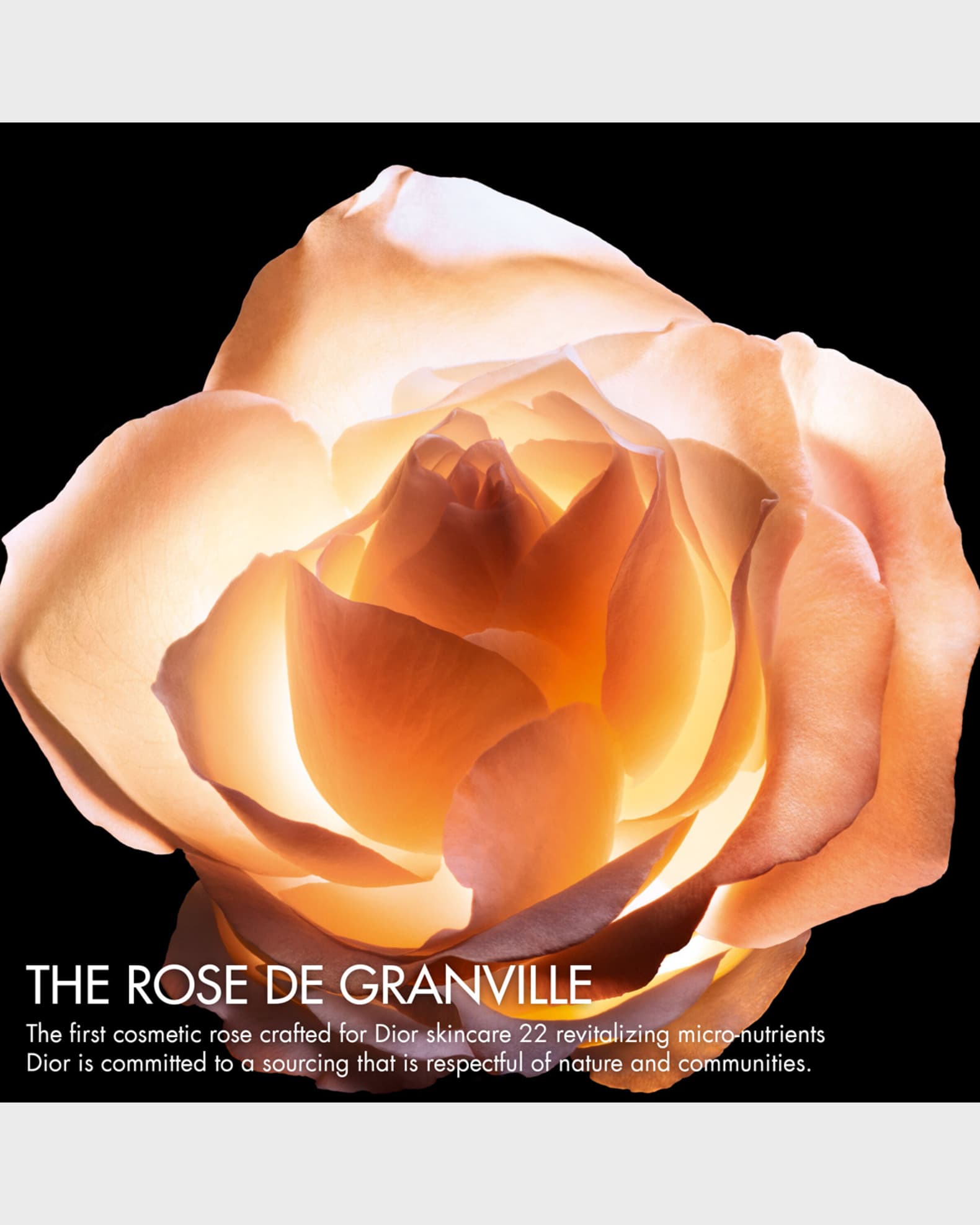 DIOR Dior Prestige Le Sucre de Gommage - Rose Sugar Scrub, 1 oz