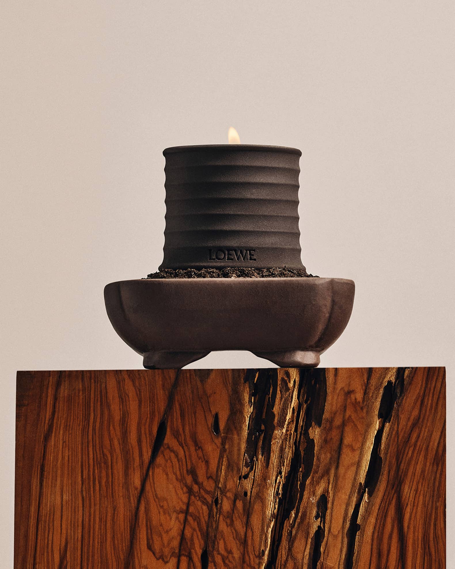 Loewe Dendrochilum Magnum Orchid Scented Candle, 5.8 oz. | Neiman