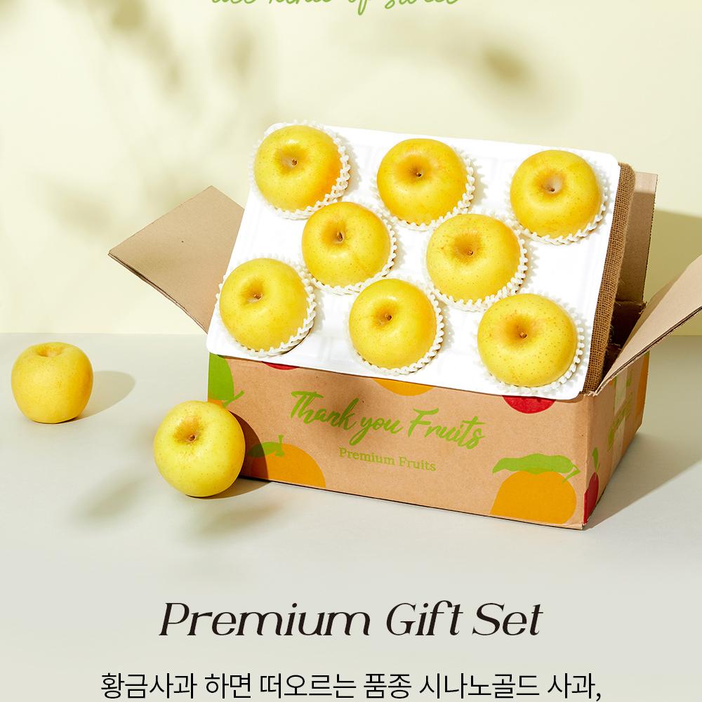 韓国スプリン高糖度シナノゴールド黄りんご 2kg (8〜10個入り