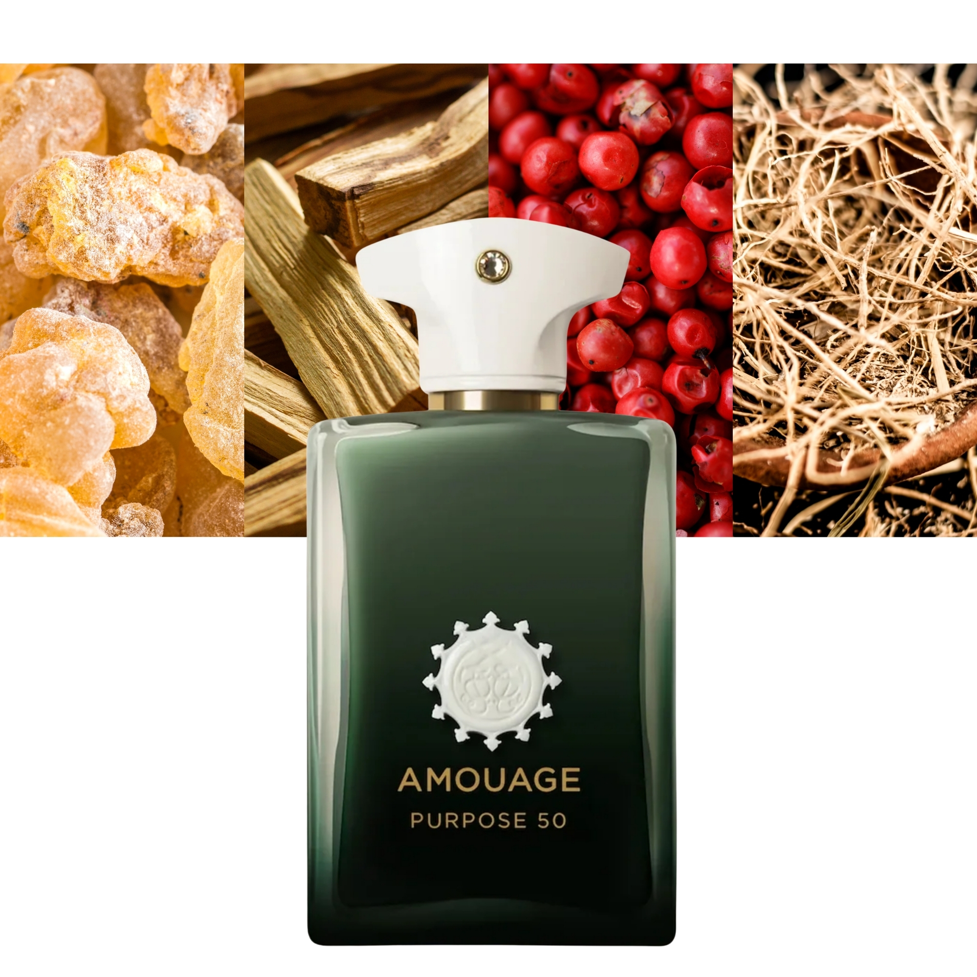 Amouage Purpose 50 Extrait De Parfum Unisex 100ml | MAXAROMA