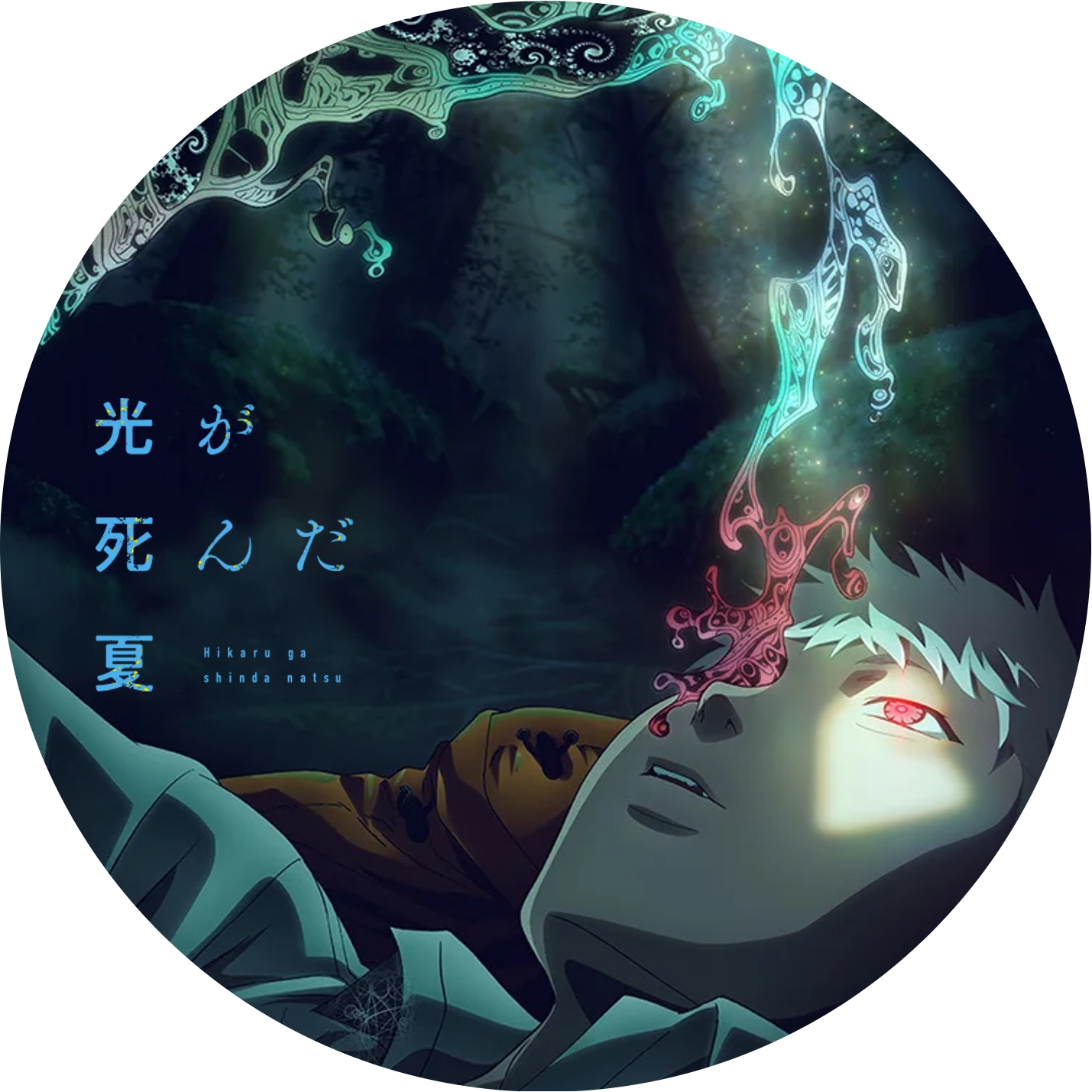 光が死んだ夏 ” の DVDラベルです | meechanmama(みーちゃんママ)の部屋