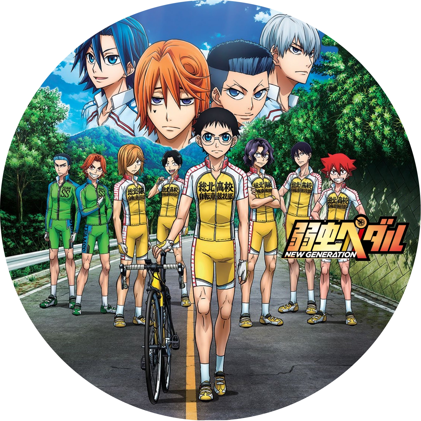 弱虫ペダル ” 3期, 4期 ＋ 劇場版 のDVDラベルです | meechanmama(みー