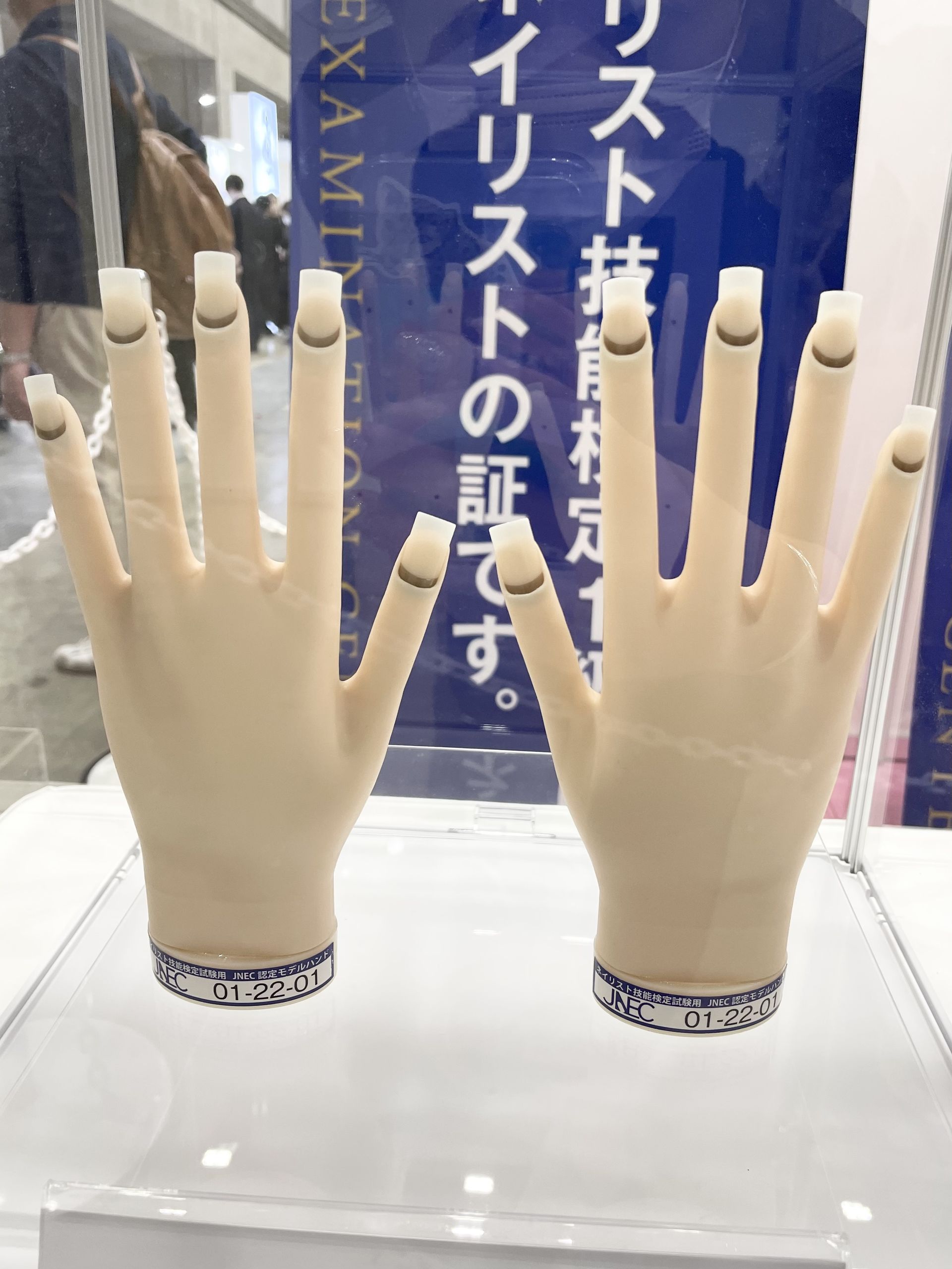 チップ付】 JNEC認定モデルハンド 骨折なし 認定モデルハンド 【公式通販】