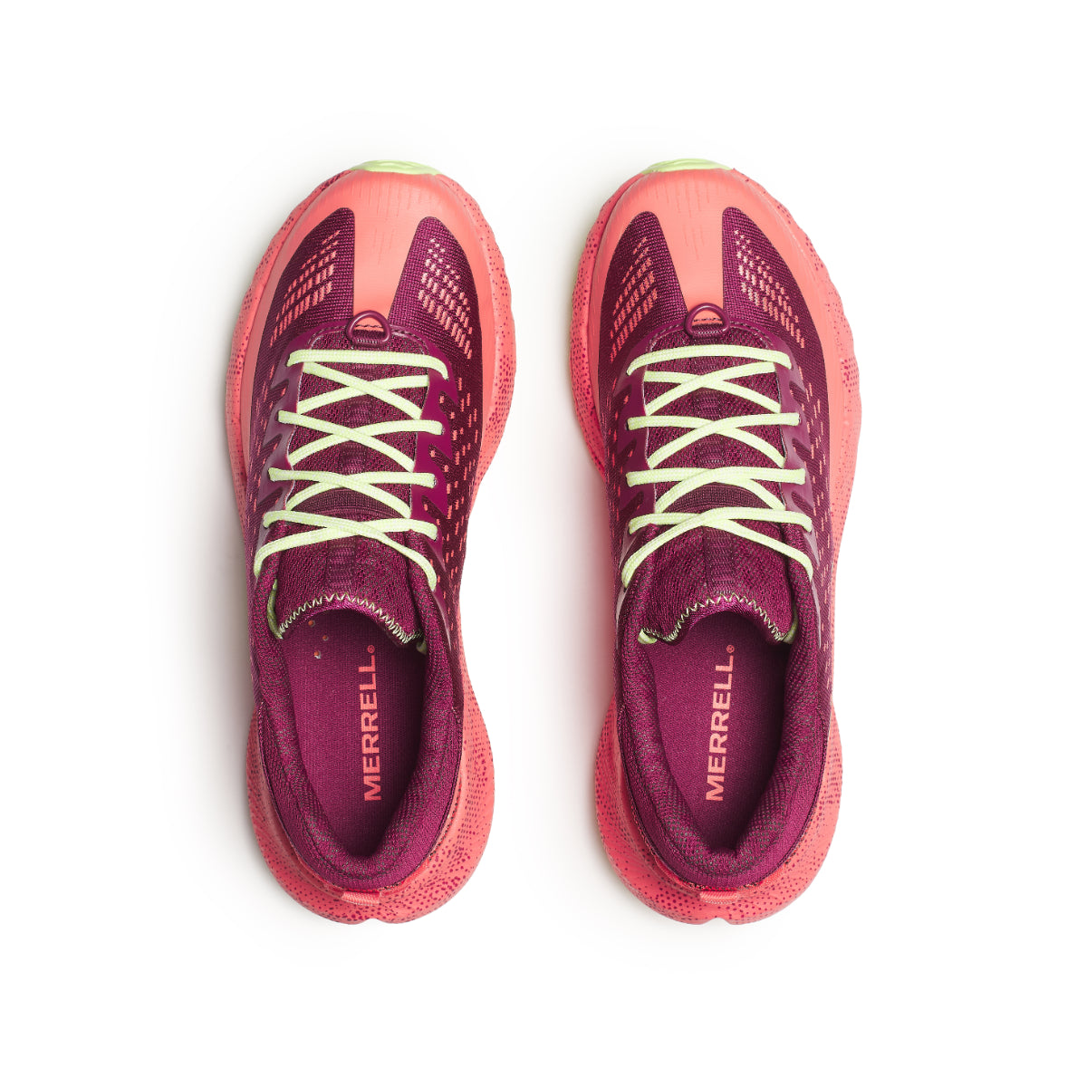 リピート ウーパー様5リットルモイスト1個 リピート ウーパー様5