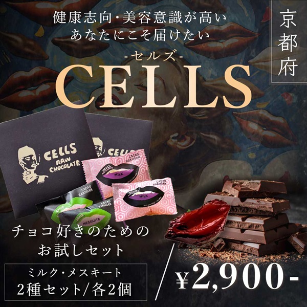 Vegan Raw Chocolate（ヴィーガンローチョコレート）】チョコ好きの