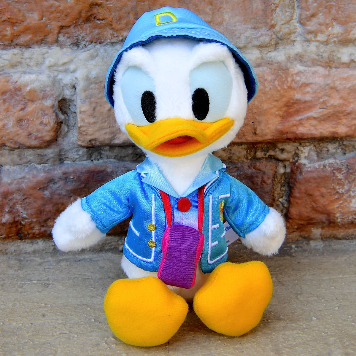 ディズニーシー・プラザで会えるディレクターコスチューム！東京